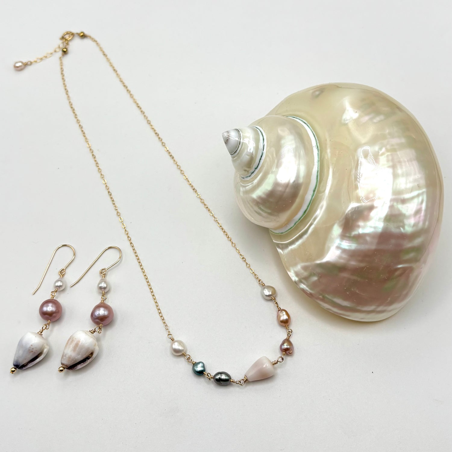 Seashell Collection